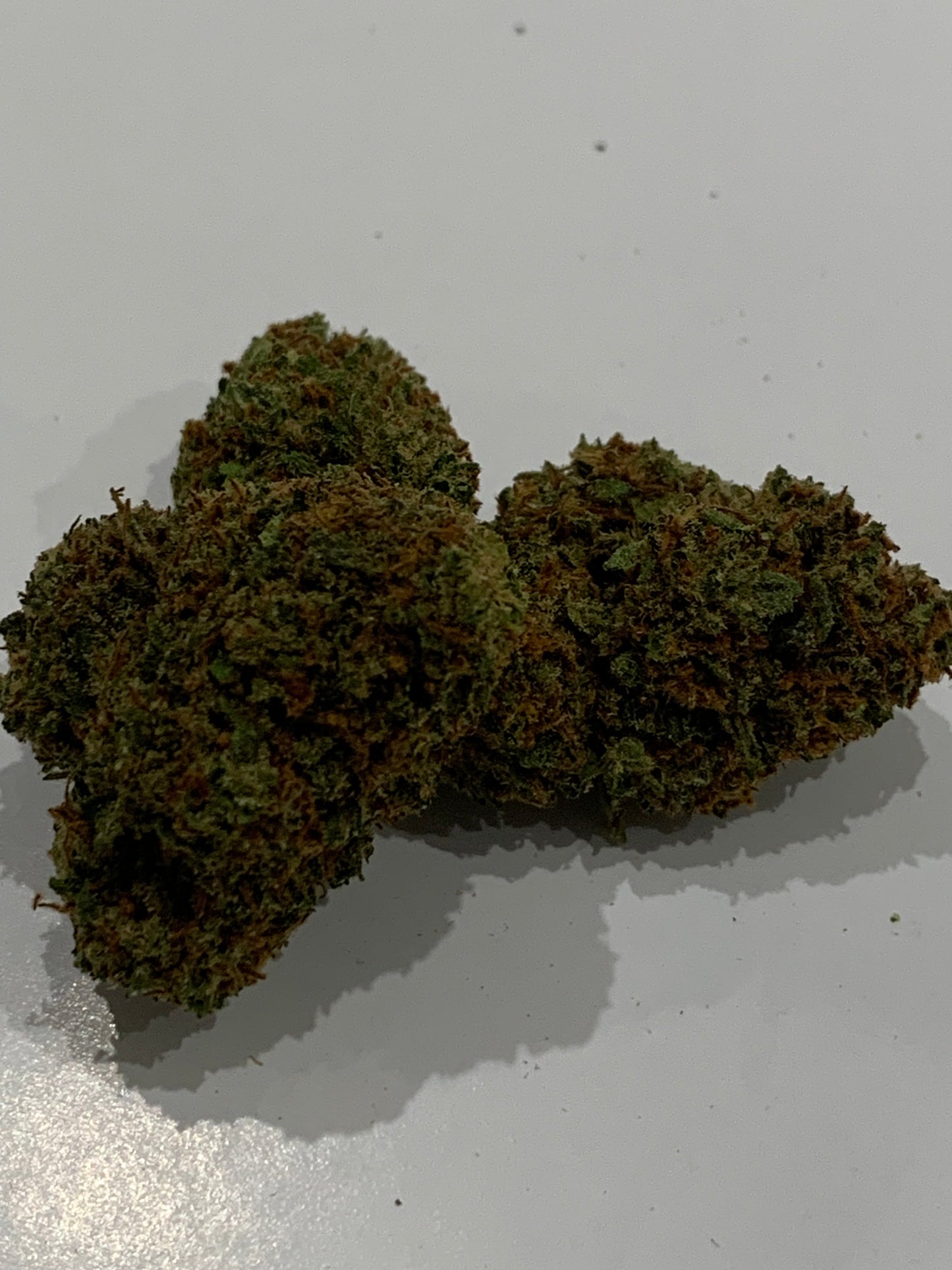 Mont Blanc  (CBD-P) LE GREENSHH