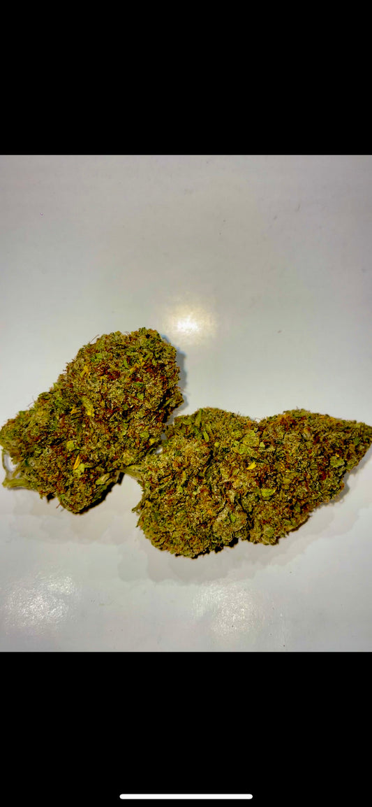 Guava LE GREENSHH