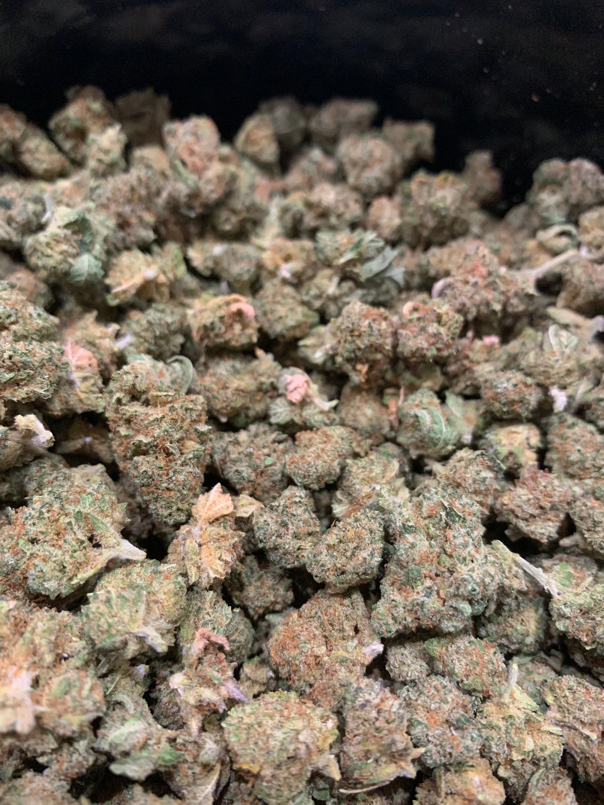 Small Buds LE GREENSHH