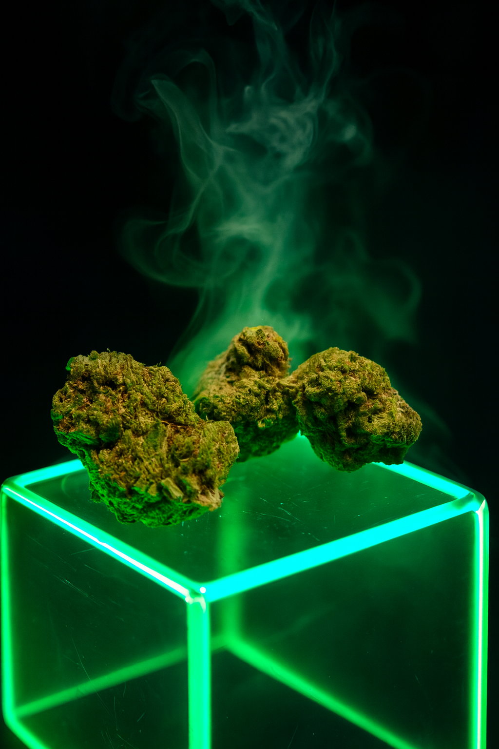 Bubble gum (CBD-P) LE GREENSHH