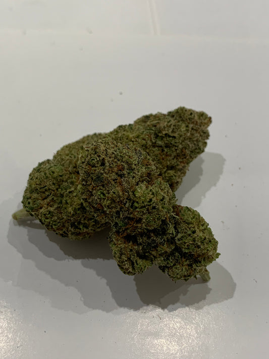 Malabar LE GREENSHH