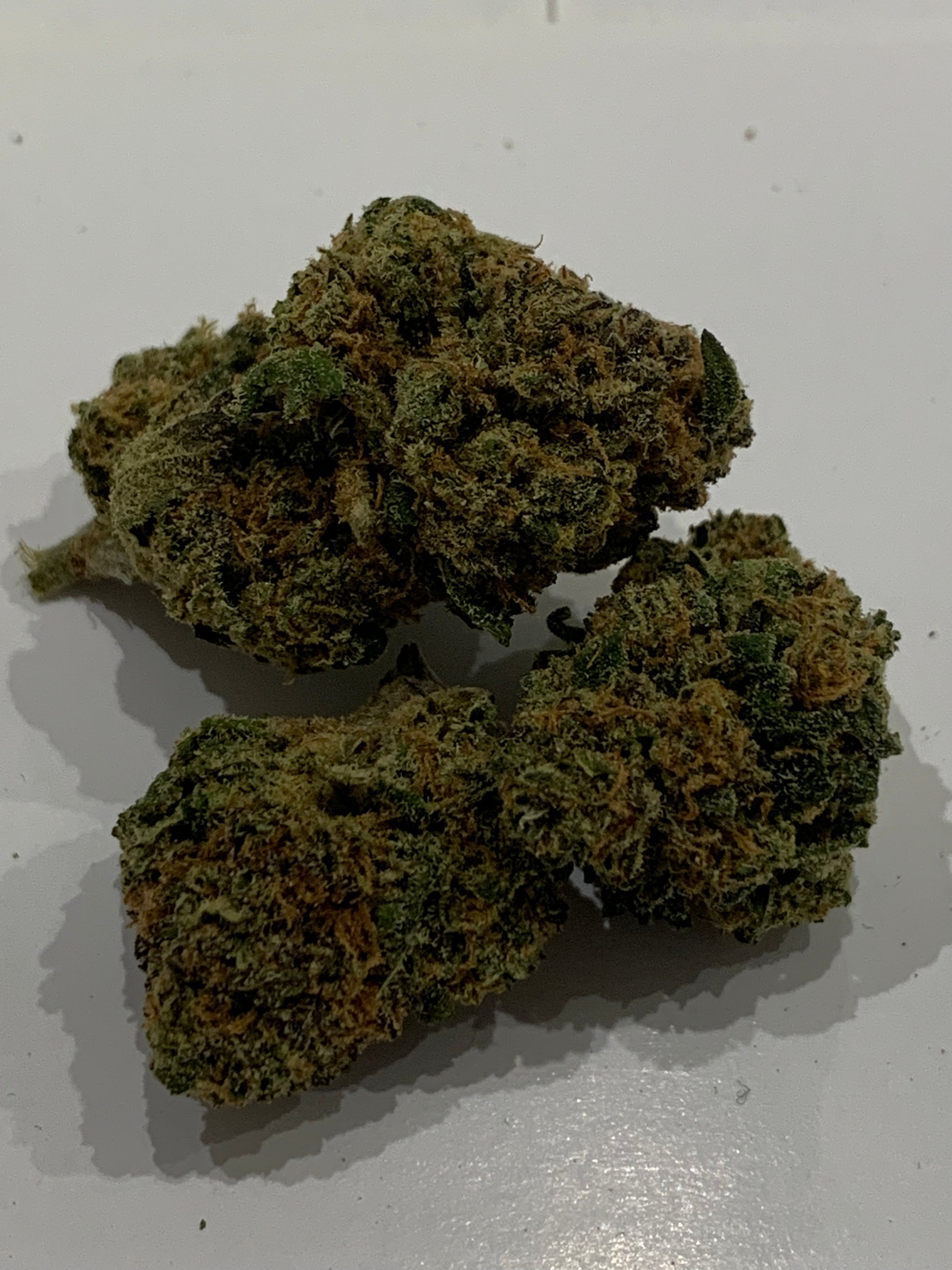 Tropical Haze LE GREENSHH