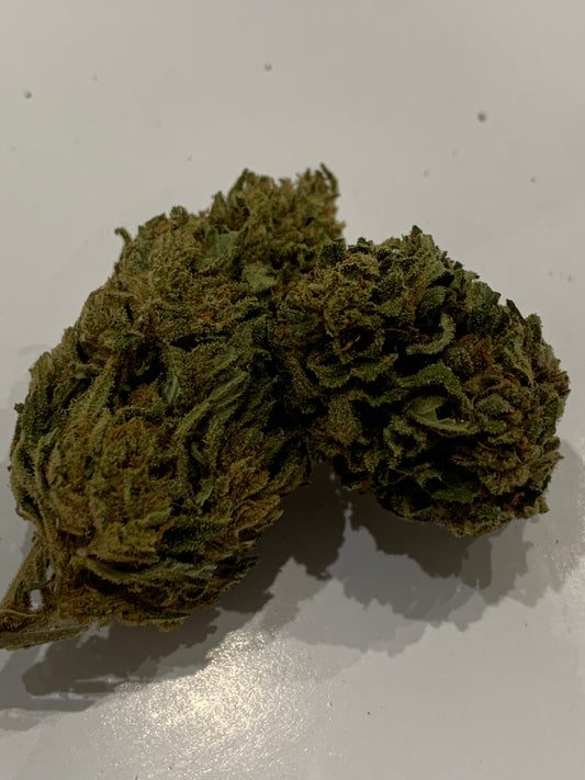 Green Shao LE GREENSHH