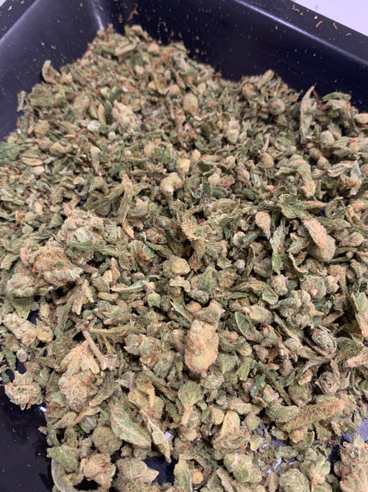 Trim LE GREENSHH