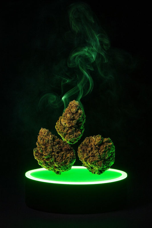 Amnesia 2.0 LE GREENSHH