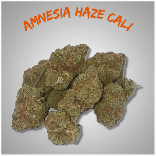 Amnesia haze Cali